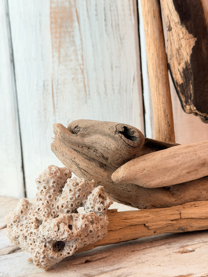 Mini Driftwood Sailboat