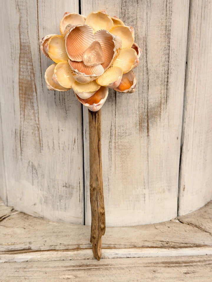 Alignment ZenFlower ~ Single