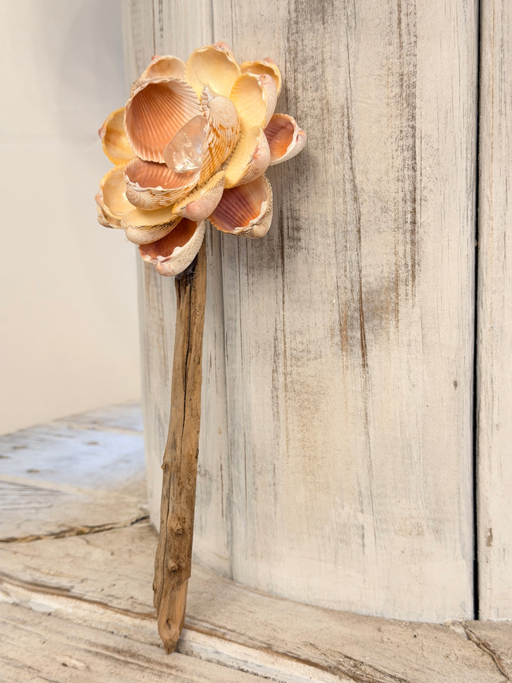 Alignment ZenFlower ~ Single