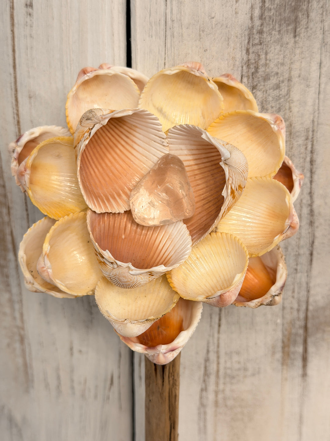 Alignment ZenFlower ~ Single