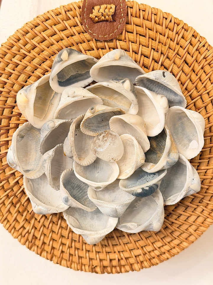 "Clarity" Rattan Bag