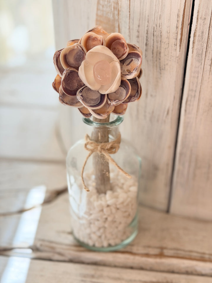 Anchored Soul | Hearts Kiss ZenFlower | Rose Quartz