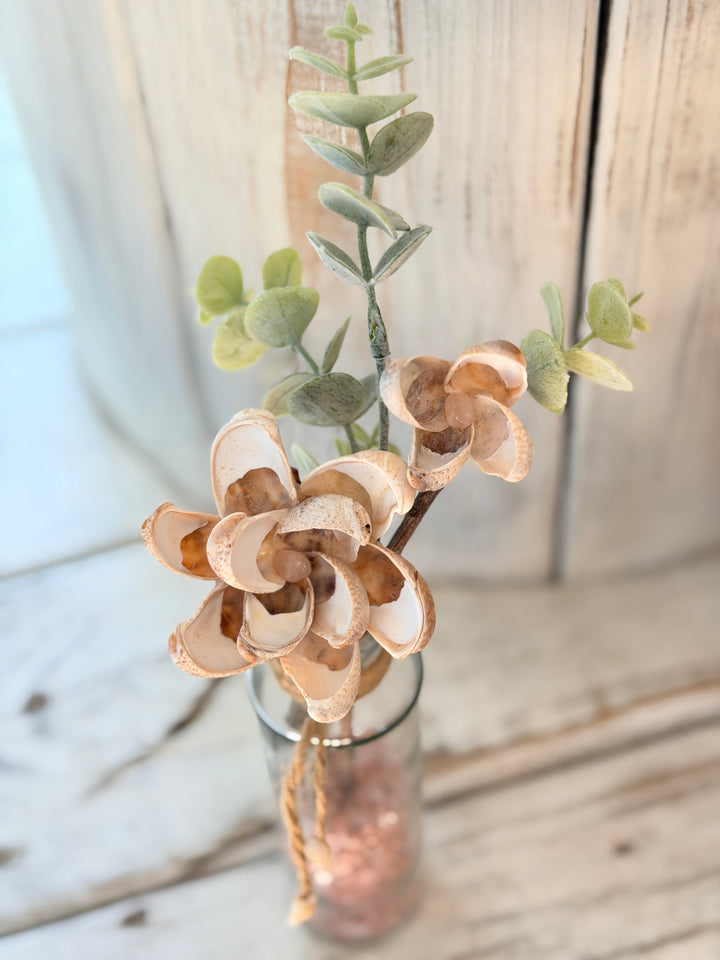 Rose quartz ZenFlower Queen healing crystal seashell art from Anchored Soul boutique