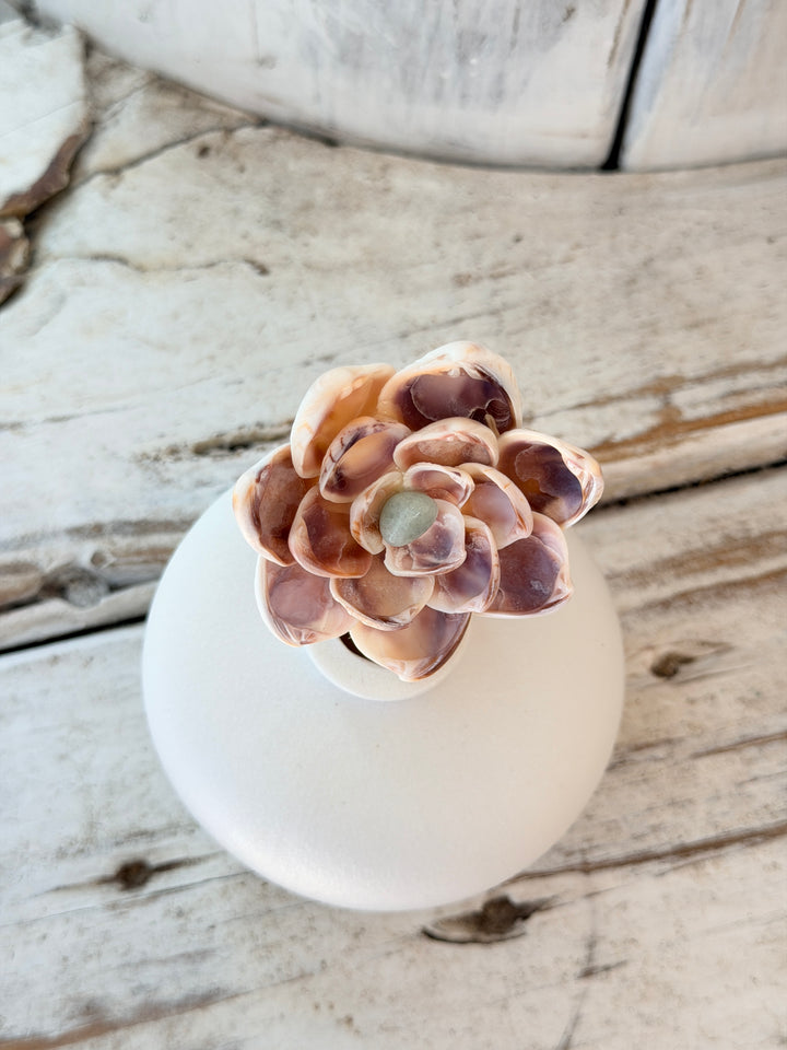 Anchored Soul ZenFlower Peaceful Amazonite healing crystal seashell flower coastal boho art