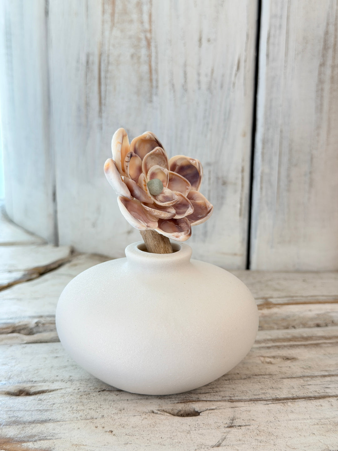 Peaceful Amazonite ZenFlower seashell flower art from Anchored Soul coastal healing boutique