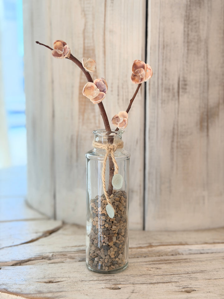 Anchored Soul ZenFlower Climbing Clarity driftwood sculpture with clear quartz and coastal shells
