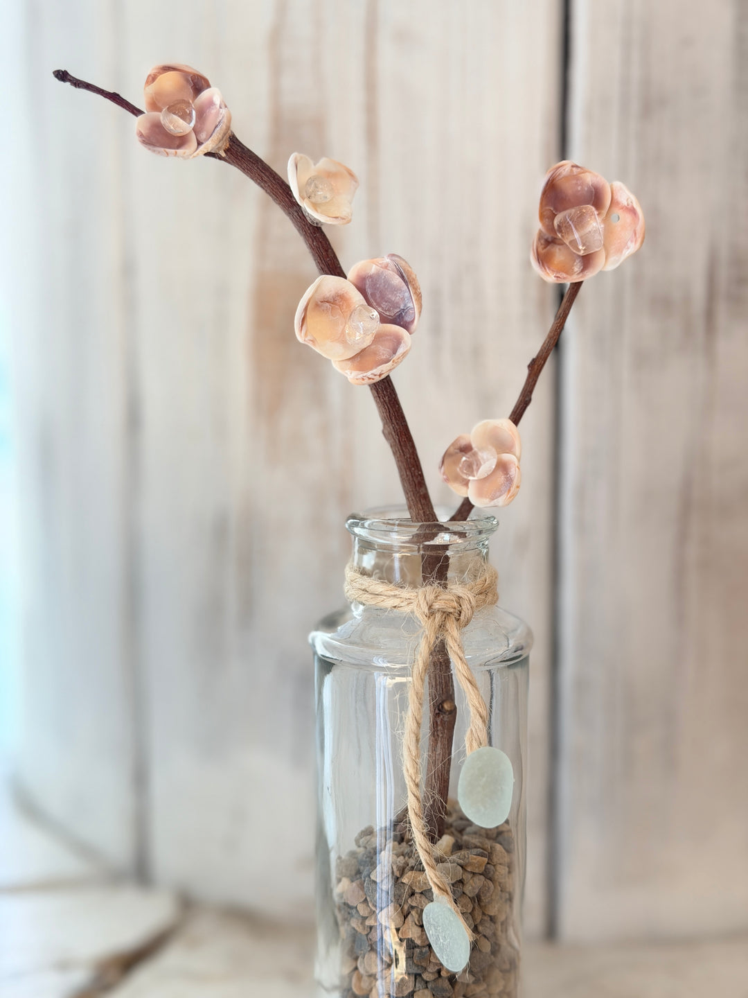 Anchored Soul ZenFlower Climbing Clarity driftwood and clear quartz coastal crystal table art