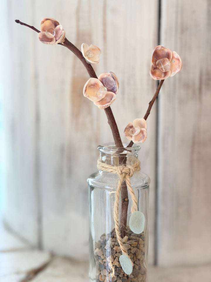 Anchored Soul ZenFlower Climbing Clarity driftwood and clear quartz coastal crystal table art