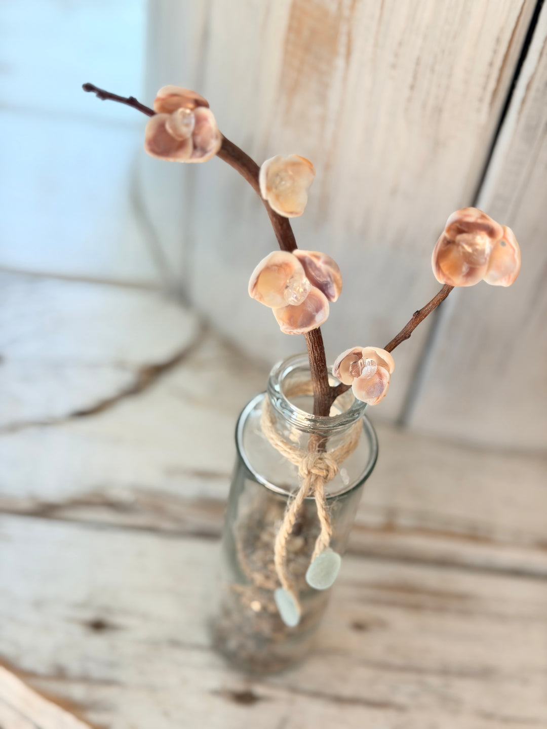 Anchored Soul ZenFlower driftwood table art with clear quartz crystals and coastal shells