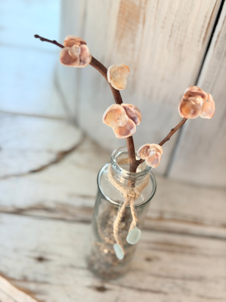 Anchored Soul ZenFlower driftwood table art with clear quartz crystals and coastal shells