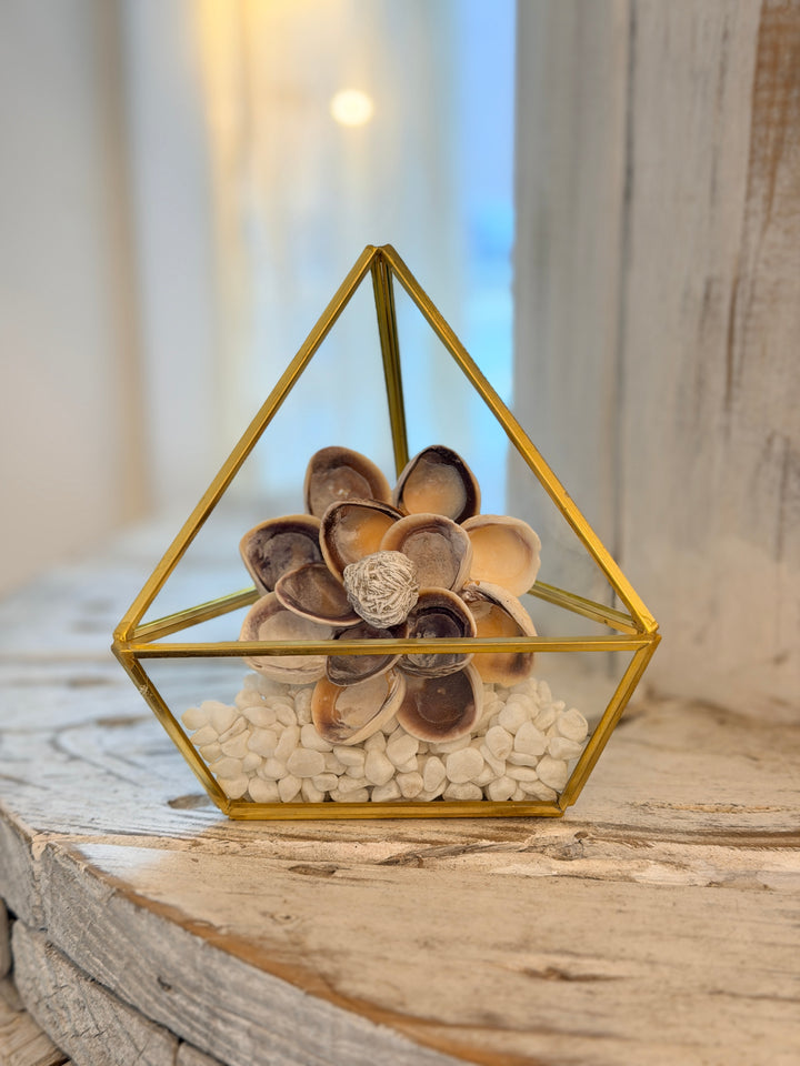 Anchored Soul ZenFlower Terrarium with desert rose selenite and coastal driftwood sculpture