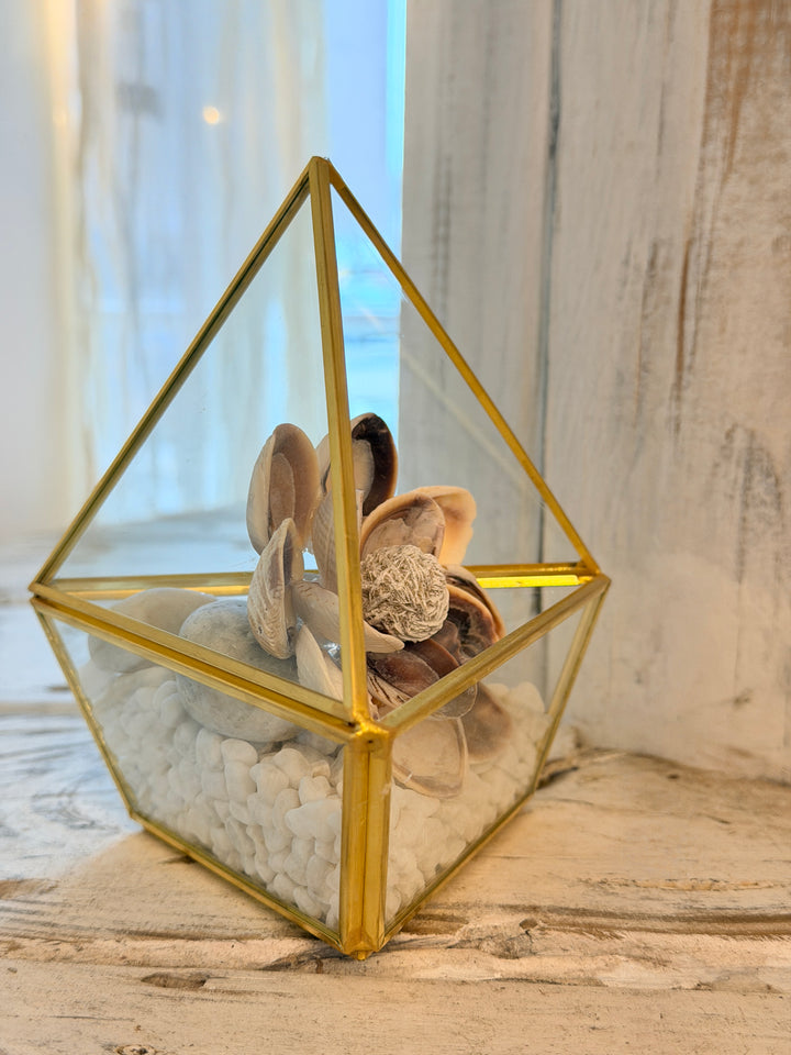 Anchored Soul ZenFlower Terrarium with desert rose selenite and coastal driftwood sculpture