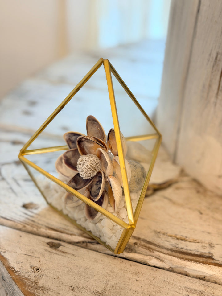 Anchored Soul ZenFlower Terrarium with desert rose selenite and coastal driftwood sculpture