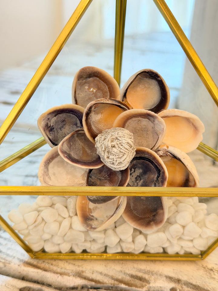 ZenFlower Terrarium with desert rose selenite and driftwood coastal altar art