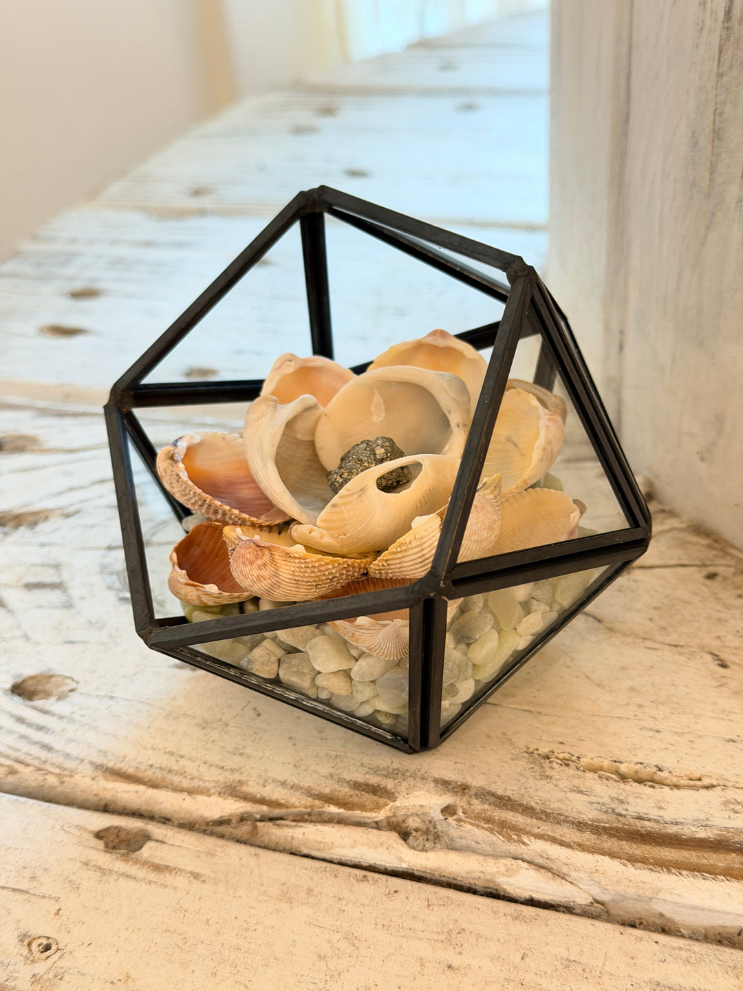 Anchored Soul ZenFlower Terrarium with pyrite crystal and driftwood coastal boho table art