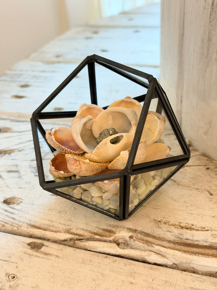 Anchored Soul ZenFlower Terrarium with pyrite crystal and driftwood coastal boho table art