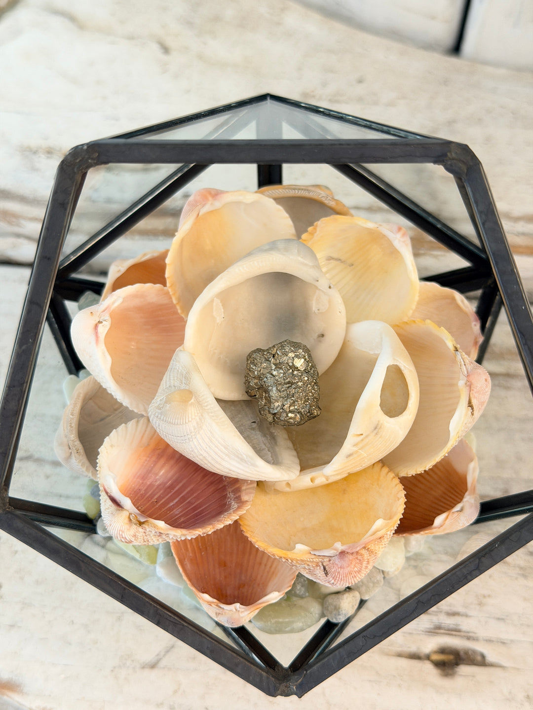 Anchored Soul ZenFlower Terrarium with pyrite crystal, driftwood, and coastal boho charm