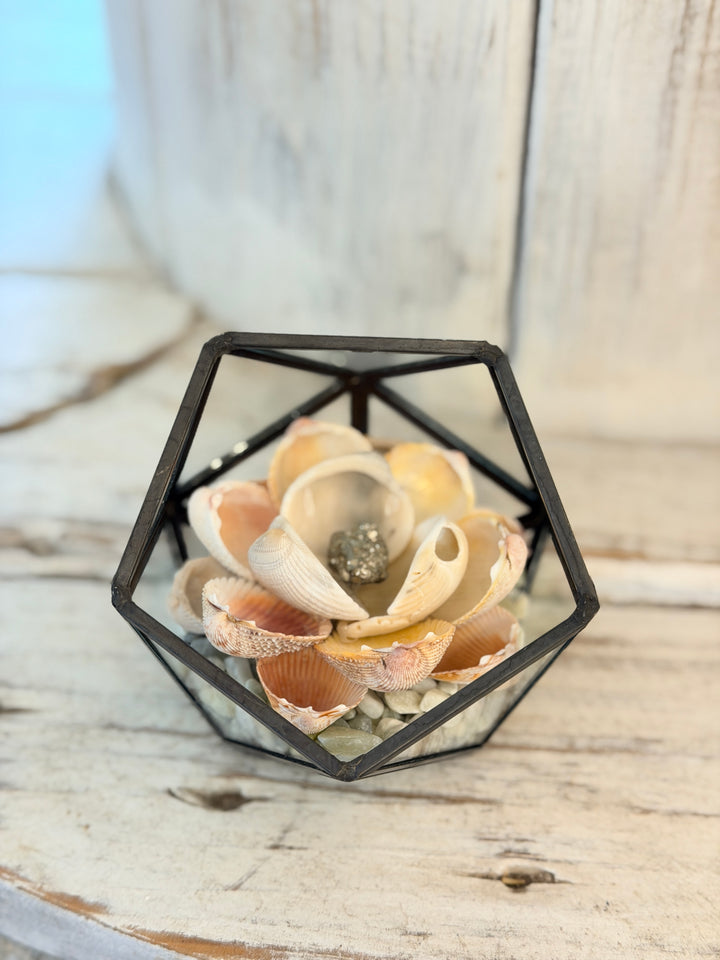 Anchored Soul ZenFlower Terrarium with pyrite crystal and driftwood coastal boho decor