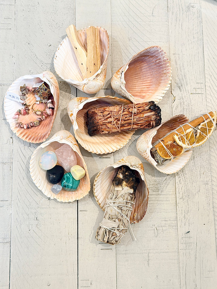 Hand-Picked Sanibel Smudge Shell