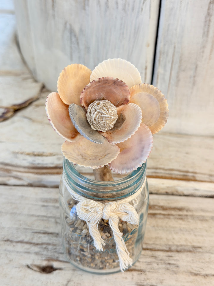 Anchored Soul | Mini ZenFlower | Desert Rose Selenite