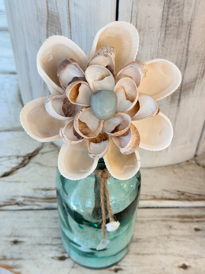 Anchored Soul | ZenFlower | Amazonite