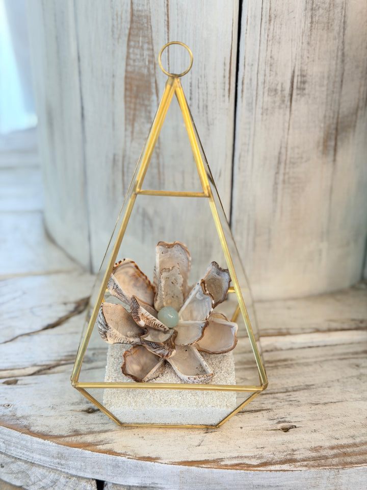 Anchored Soul | ZenFlower Terrarium | Aqua Chalcedony