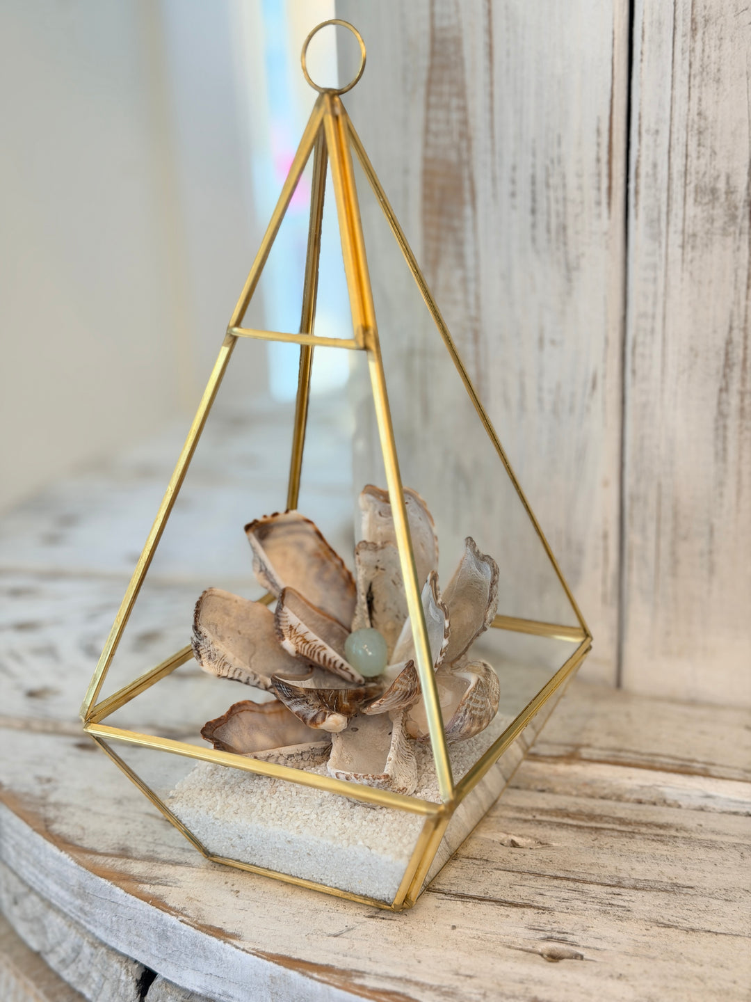 Anchored Soul | ZenFlower Terrarium | Aqua Chalcedony