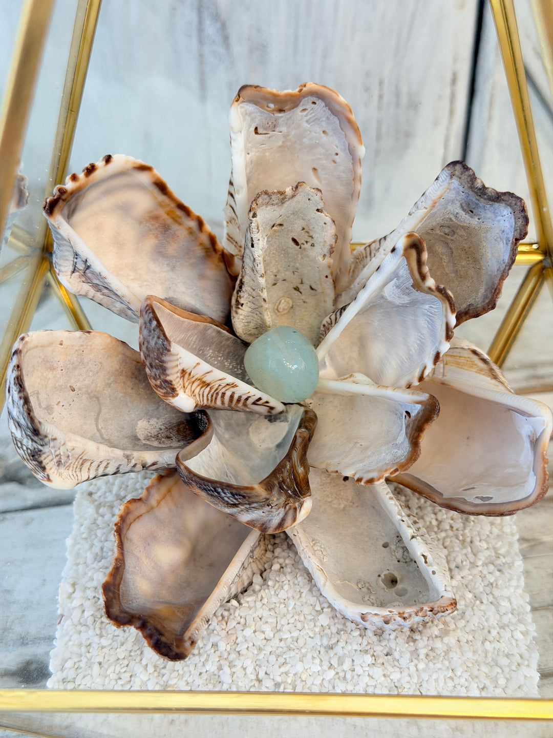Anchored Soul | ZenFlower Terrarium | Aqua Chalcedony