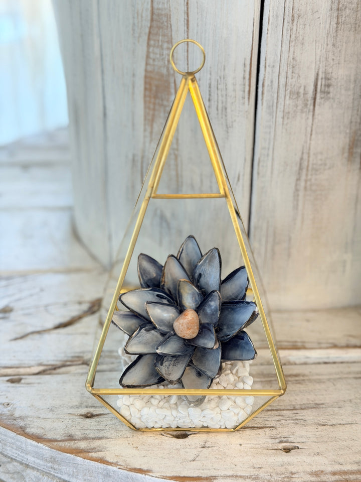 Anchored Soul | Mussel ZenFlower Terrarium | Sunstone