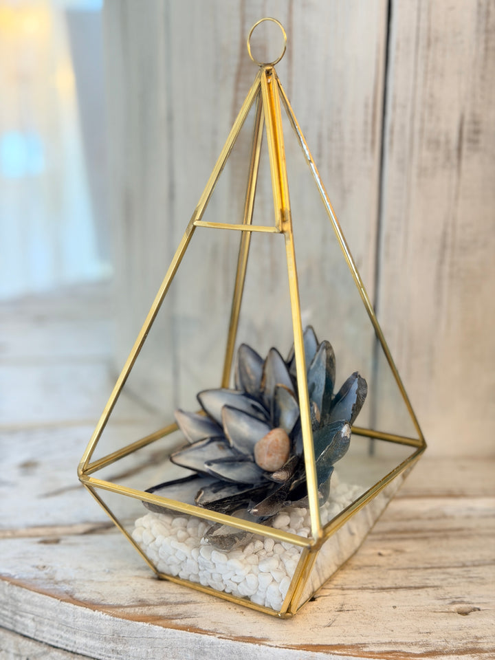 Anchored Soul | Mussel ZenFlower Terrarium | Sunstone