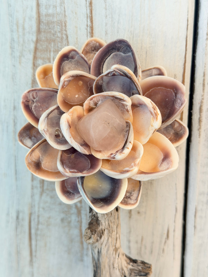Anchored Soul | Single ZenFlower Wand | Rose Quartz