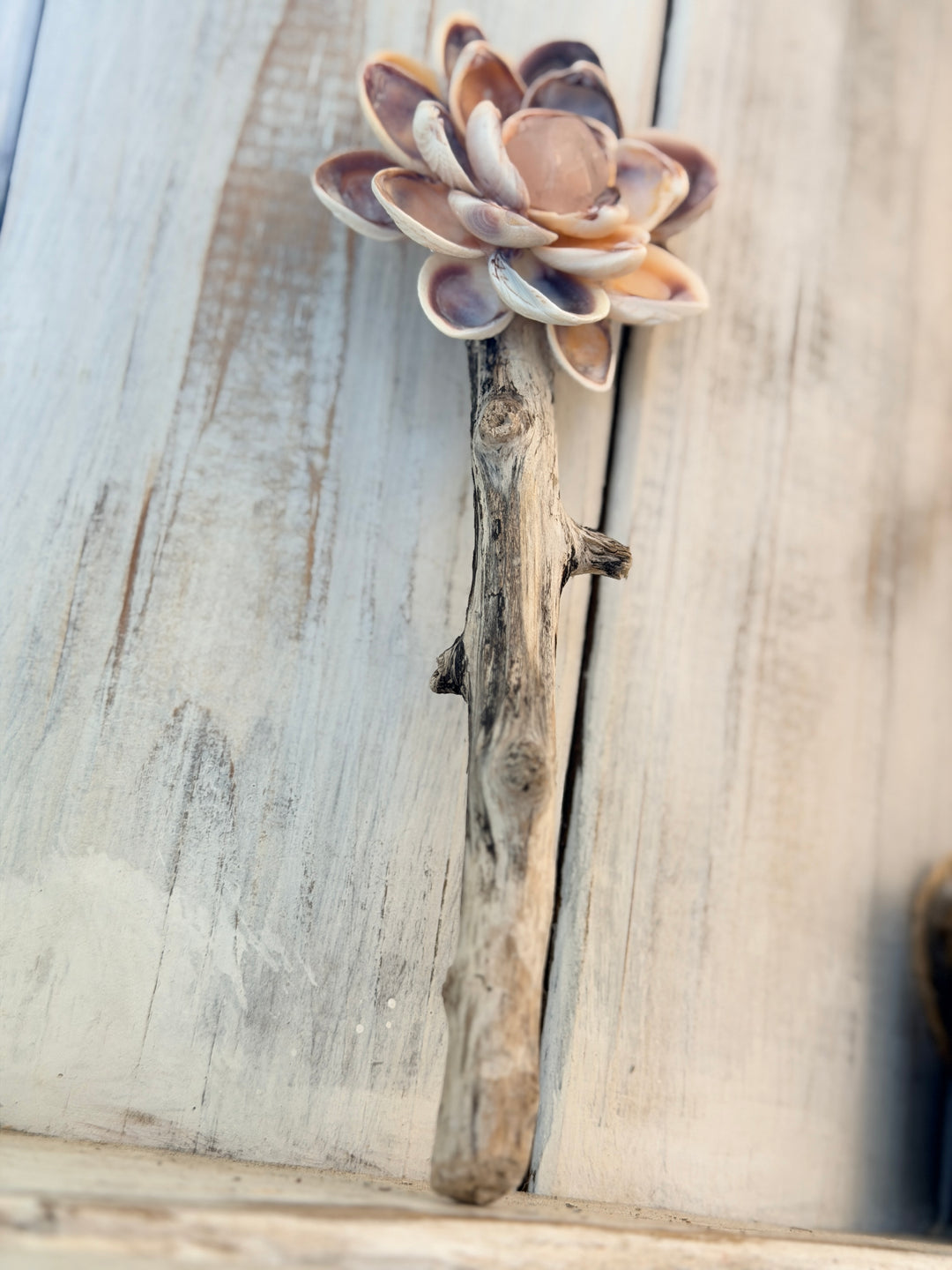 Anchored Soul | Single ZenFlower Wand | Rose Quartz