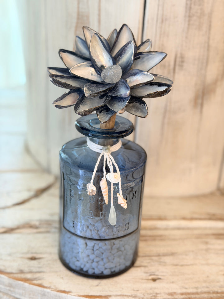 Anchored Soul | ZenFlower Mussels | Clear Quartz