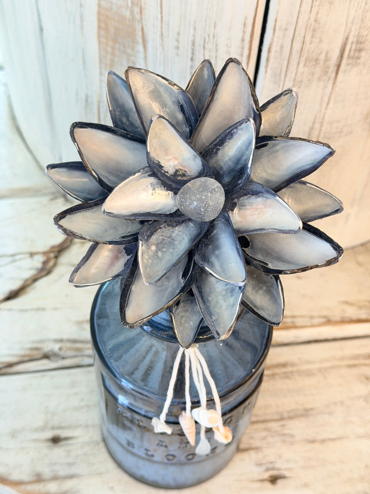 Anchored Soul | ZenFlower Mussels | Clear Quartz