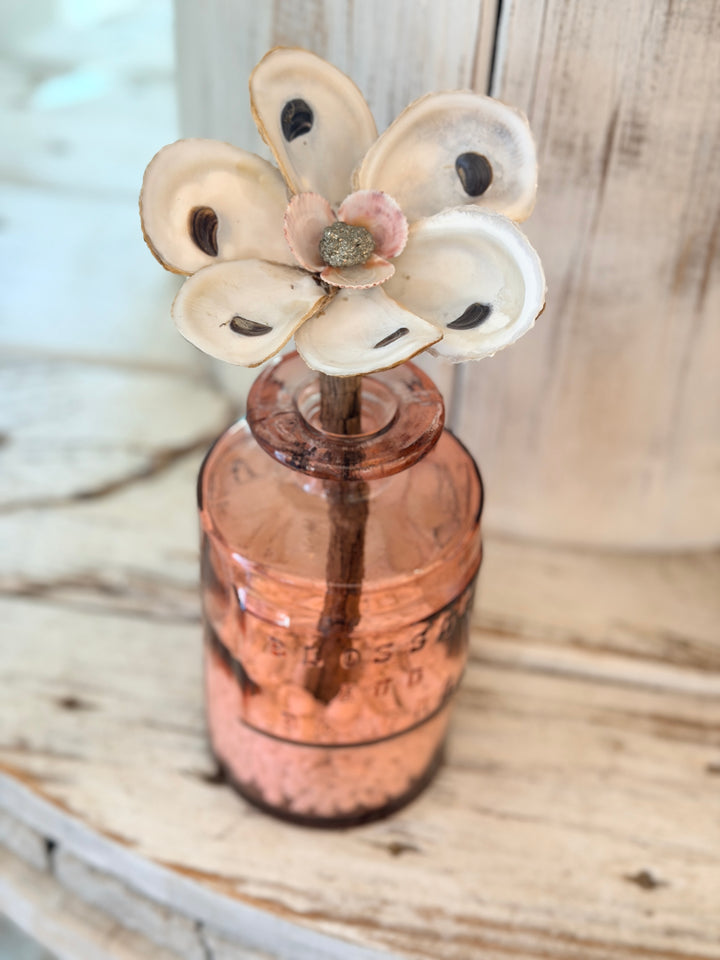 Anchored Soul | Oyster ZenFlower | Pyrite