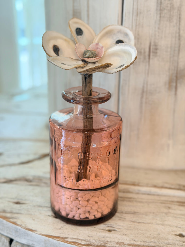 Anchored Soul | Oyster ZenFlower | Pyrite