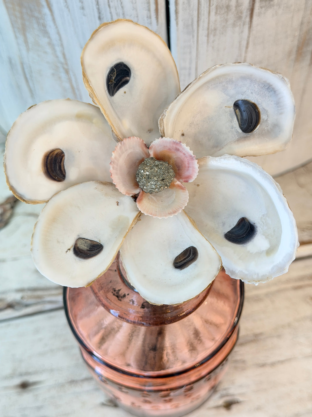 Anchored Soul | Oyster ZenFlower | Pyrite