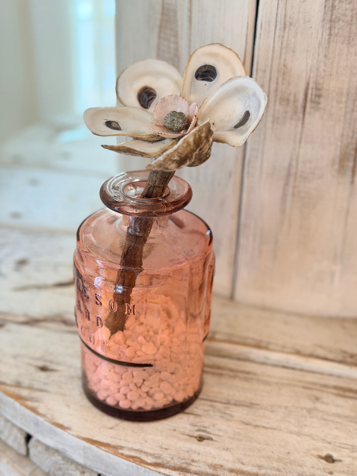 Anchored Soul | Oyster ZenFlower | Pyrite