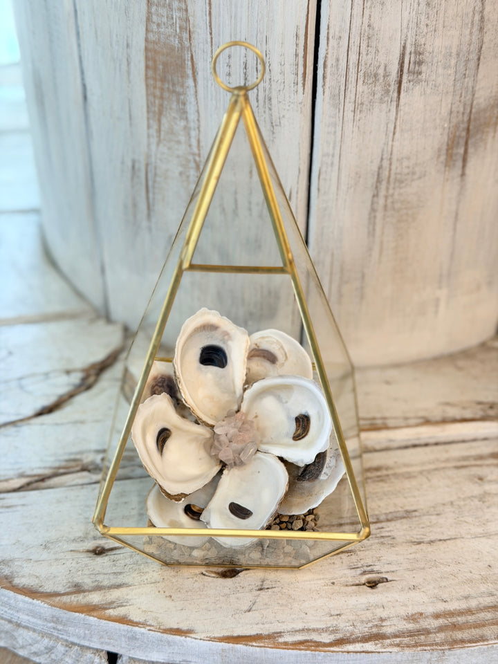 Anchored Soul | Oyster ZenFlower Terrarium | Rose Quartz