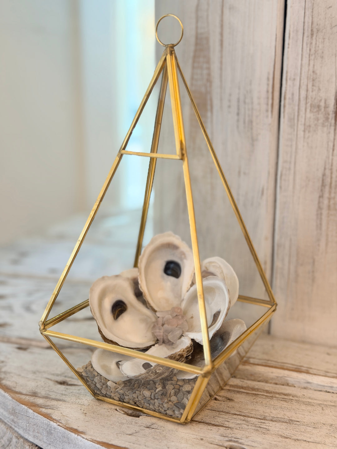 Anchored Soul | Oyster ZenFlower Terrarium | Rose Quartz