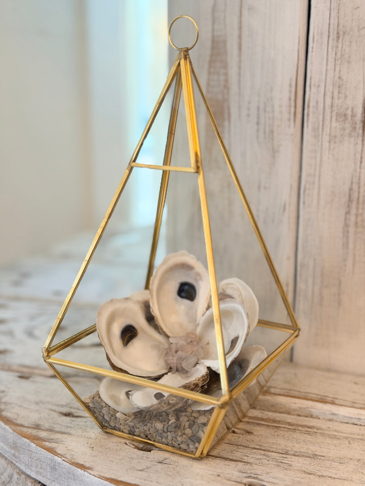 Anchored Soul | Oyster ZenFlower Terrarium | Rose Quartz