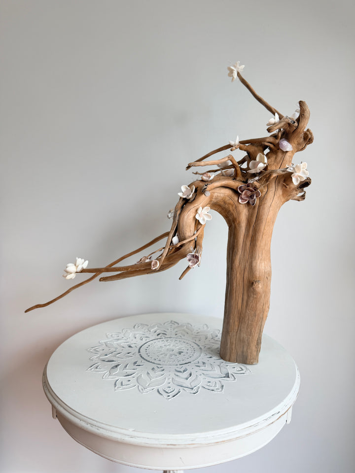 Anchored Soul | Floral Roots
