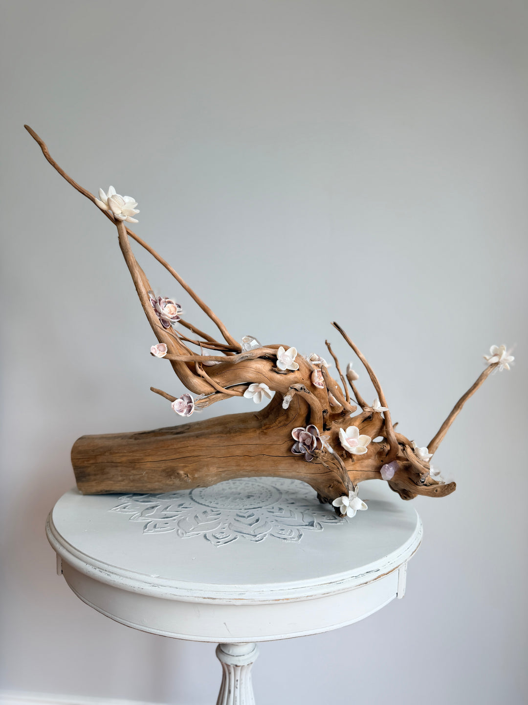 Anchored Soul | Floral Roots