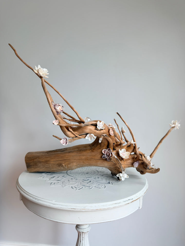 Anchored Soul | Floral Roots