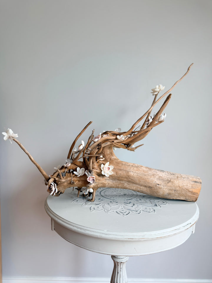 Anchored Soul | Floral Roots