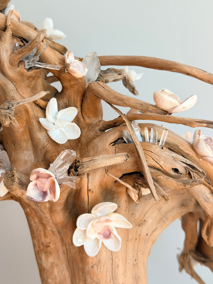 Anchored Soul | Floral Roots