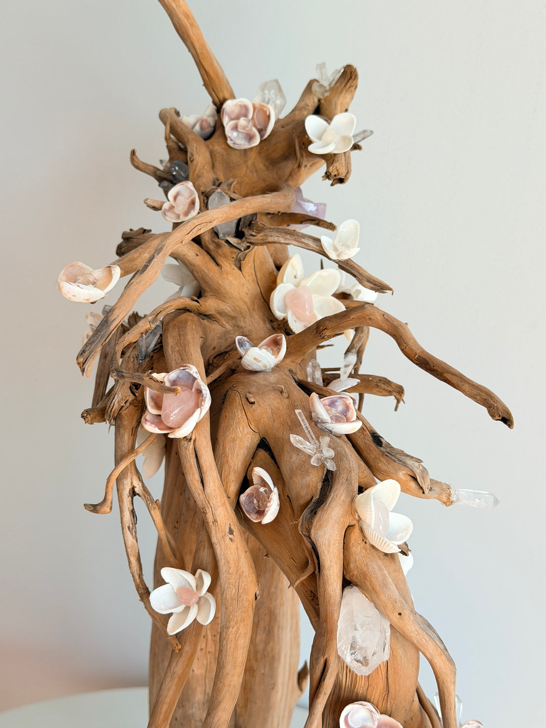 Anchored Soul | Floral Roots