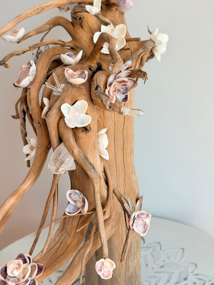 Anchored Soul | Floral Roots