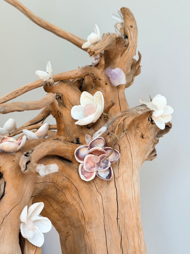 Anchored Soul | Floral Roots