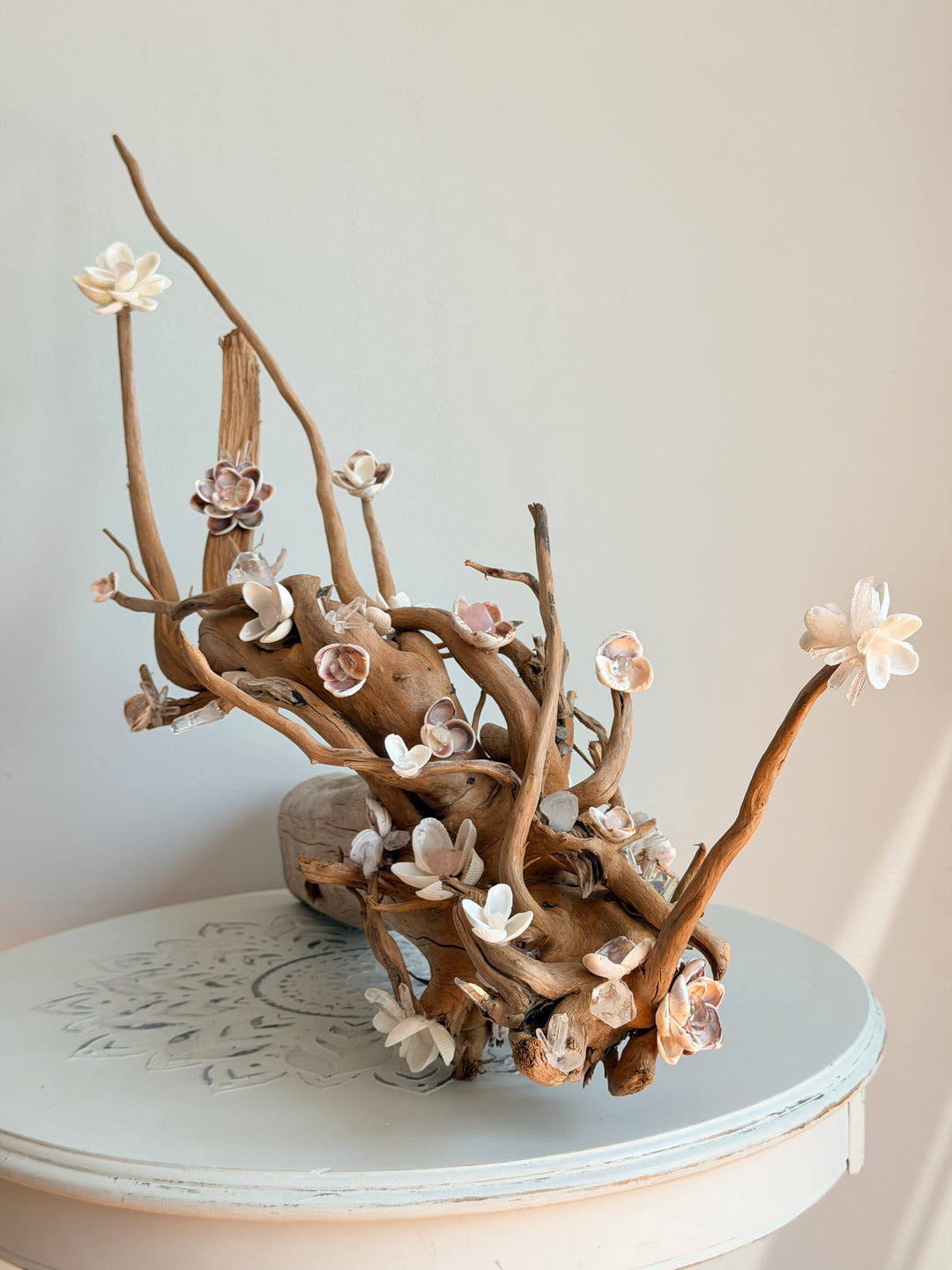 Anchored Soul | Floral Roots
